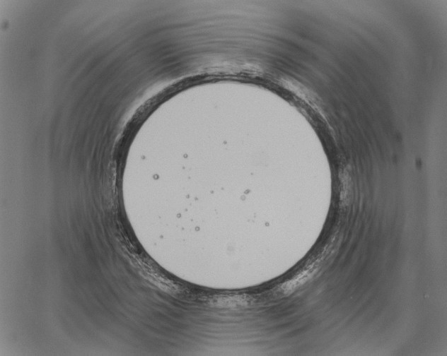X0000062841021200602101531