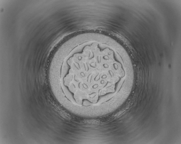 X0000062841023200602101531