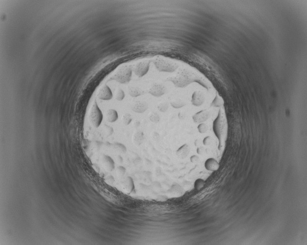 X0000062841027200602101531