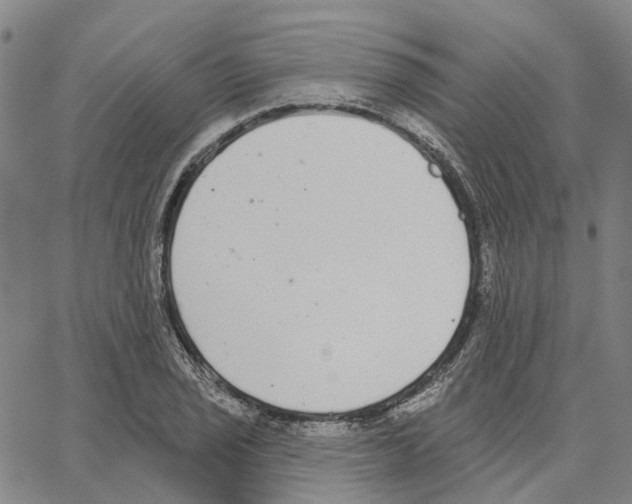 X0000062841029200602101531