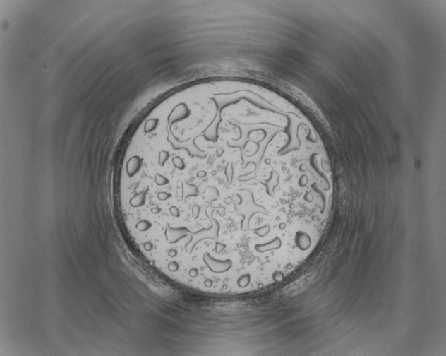 X0000062841035200602101531
