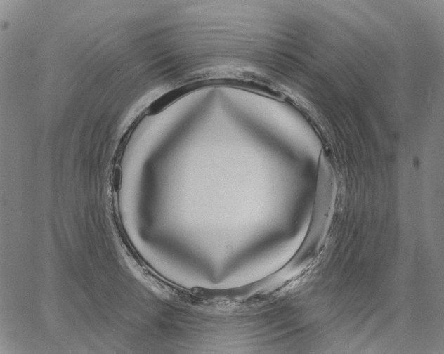 X0000062841042200602101532