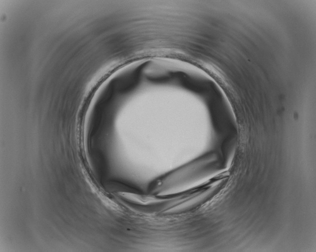 X0000062841046200602101532