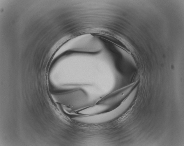 X0000062841050200602101532