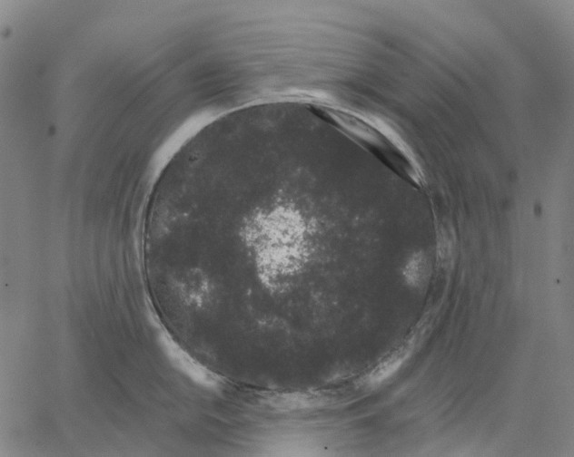X0000062841054200602101532