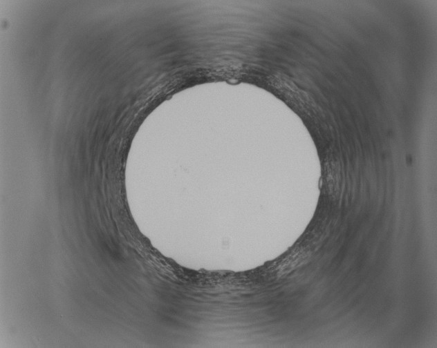 X0000062841057200602101531