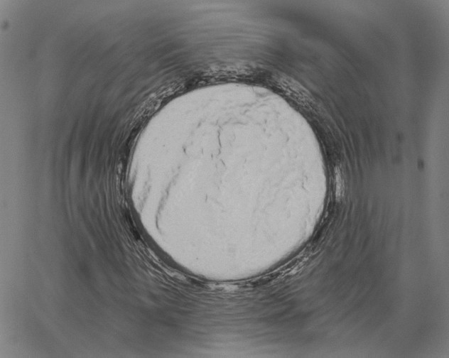 X0000062841059200602101531