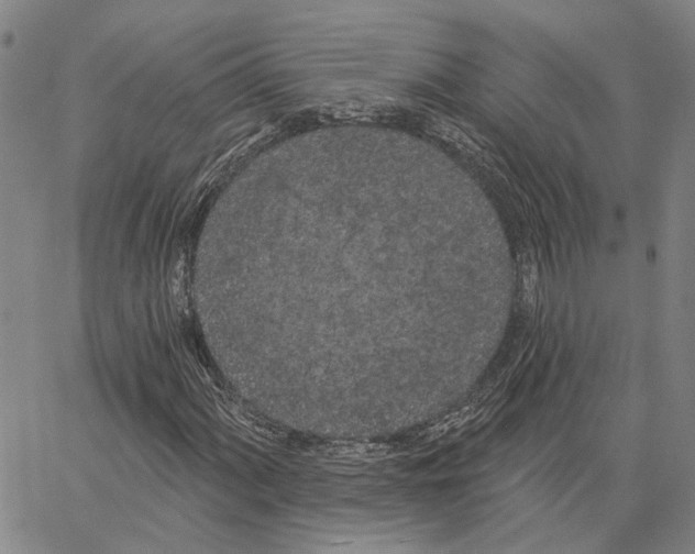 X0000062841060200602101531