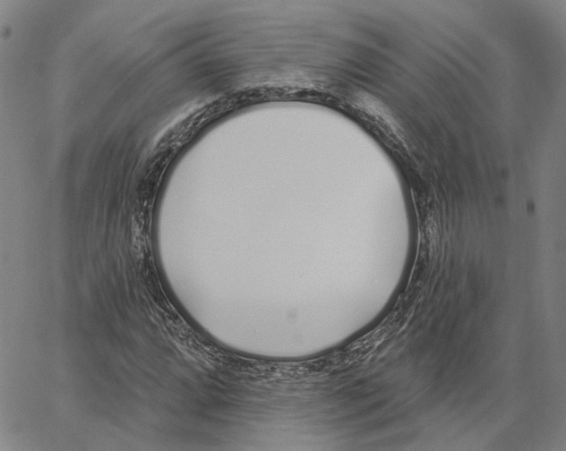 X0000062841064200602101531