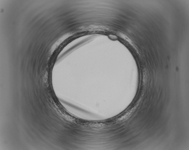 X0000062841066200602101531