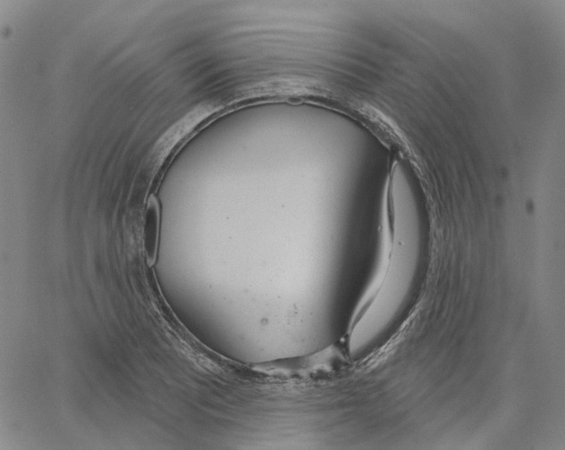 X0000062841081200602101531