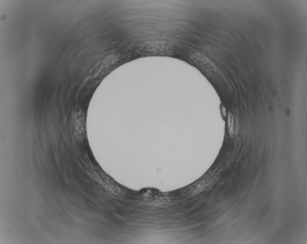 X0000062841107200602101530