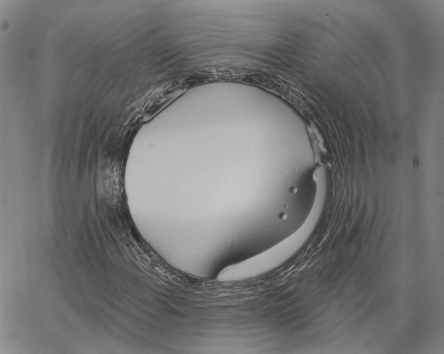 X0000062841108200602101530