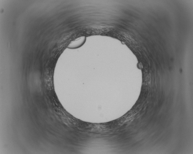 X0000062841109200602101530