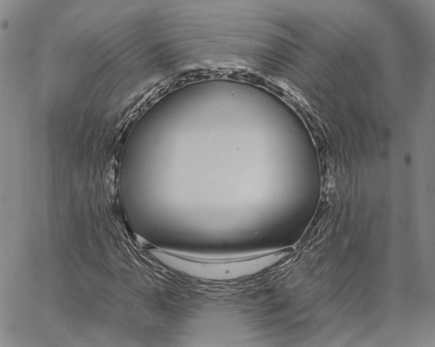 X0000062841110200602101530