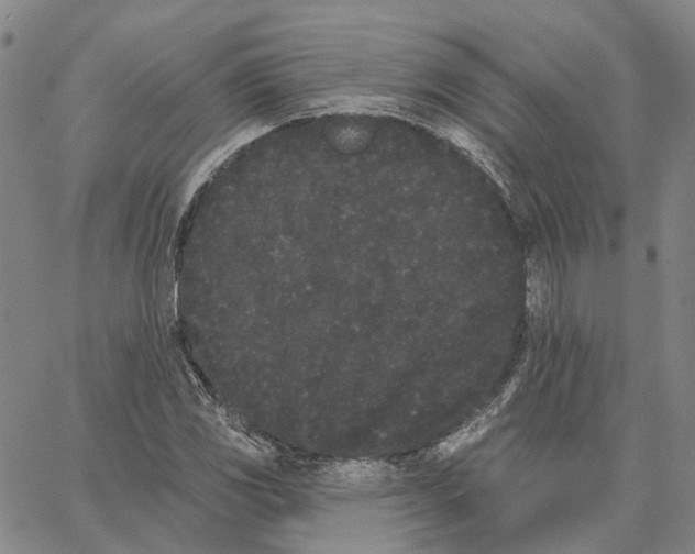 X0000062841117200602101530
