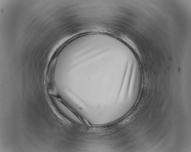 X0000062841128200602101530