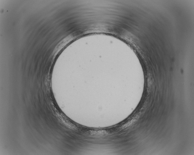 X0000062841129200602101530