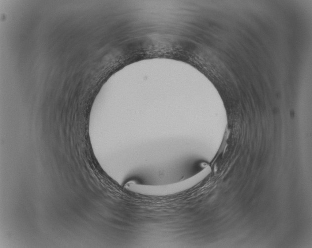X0000062841153200602101530