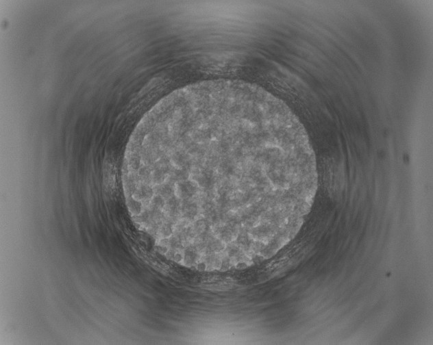 X0000062841154200602101529
