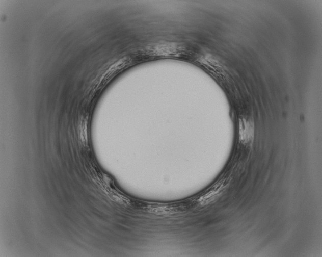 X0000062841155200602101529
