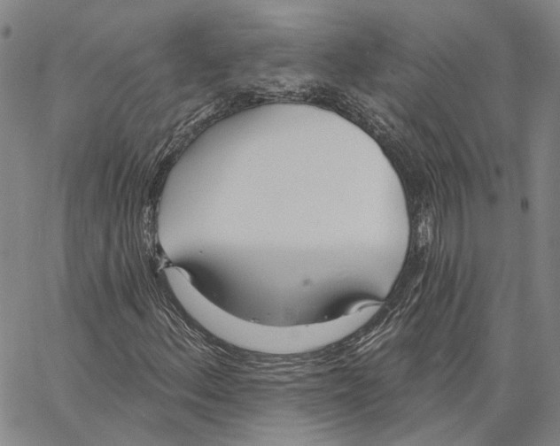 X0000062841156200602101529