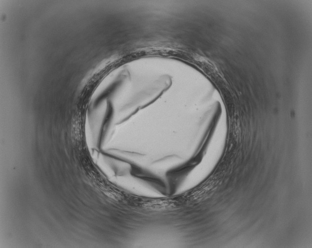 X0000062841159200602101529