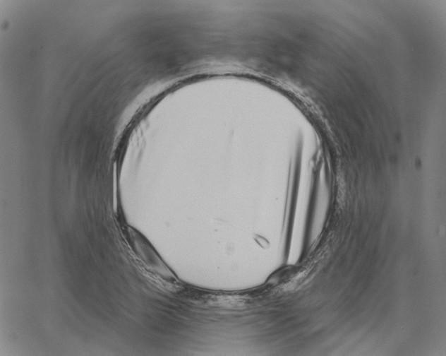 X0000062841175200602101529