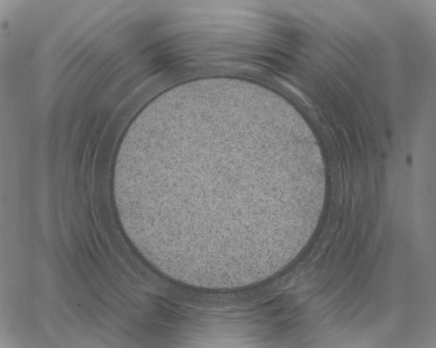 X0000062841186200602101529