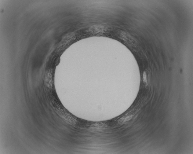 X0000062841203200602101528
