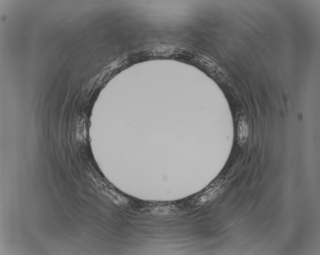 X0000062841204200602101528