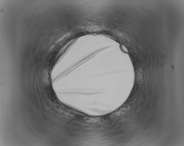 X0000062841205200602101528