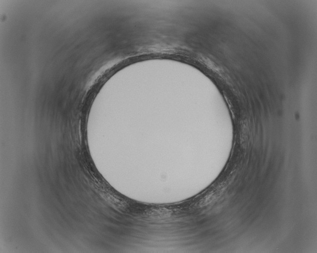 X0000062841214200602101528