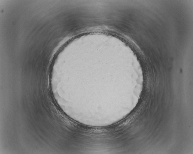 X0000062841224200602101528