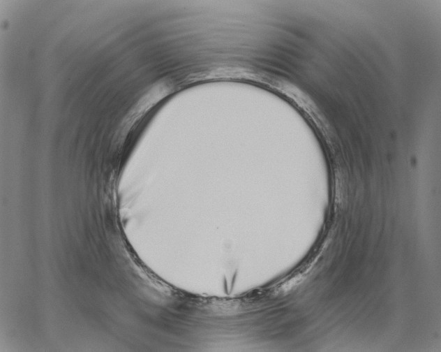X0000062841241200602101529