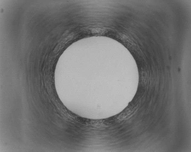 X0000062841249200602101528