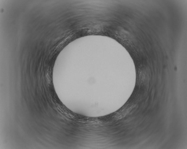 X0000062841250200602101528