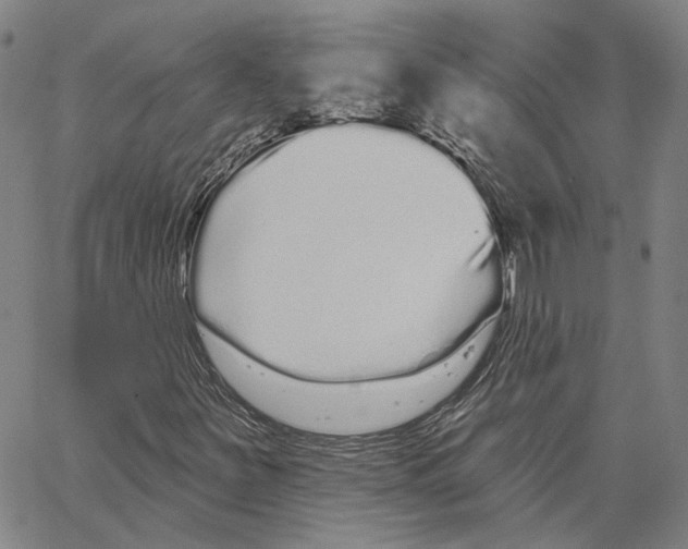 X0000062841251200602101528
