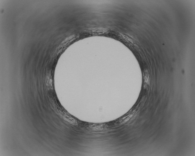 X0000062841252200602101528