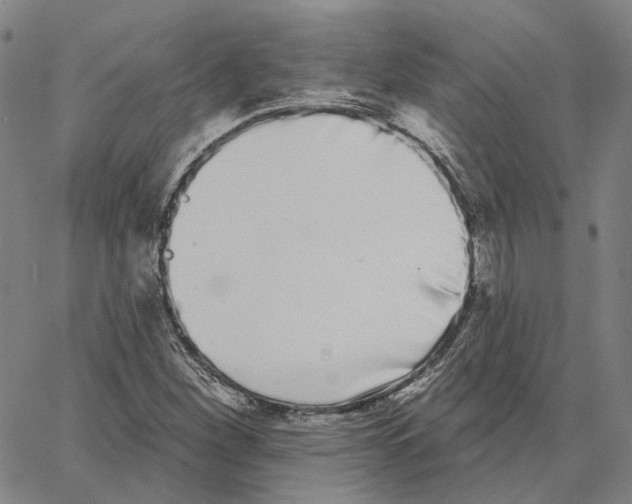 X0000062841260200602101528