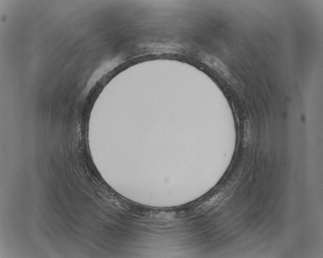 X0000062841261200602101528