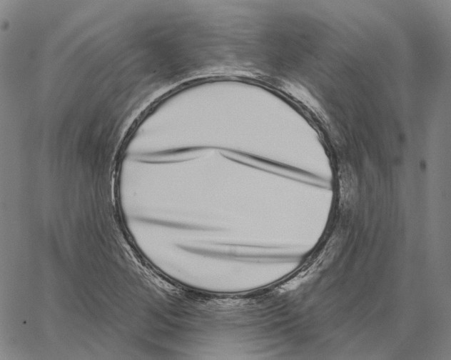 X0000062841268200602101528