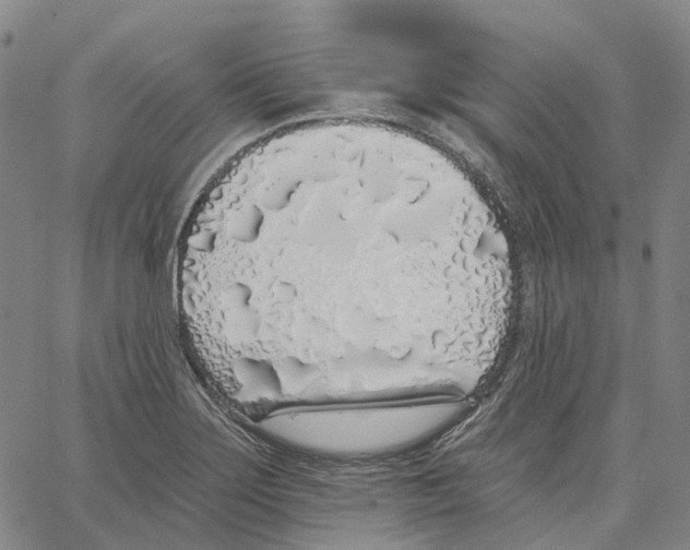 X0000062841275200602101527