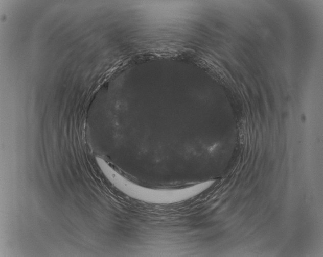 X0000062841298200602101526