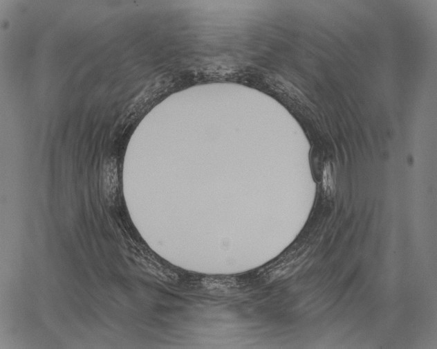 X0000062841299200602101526