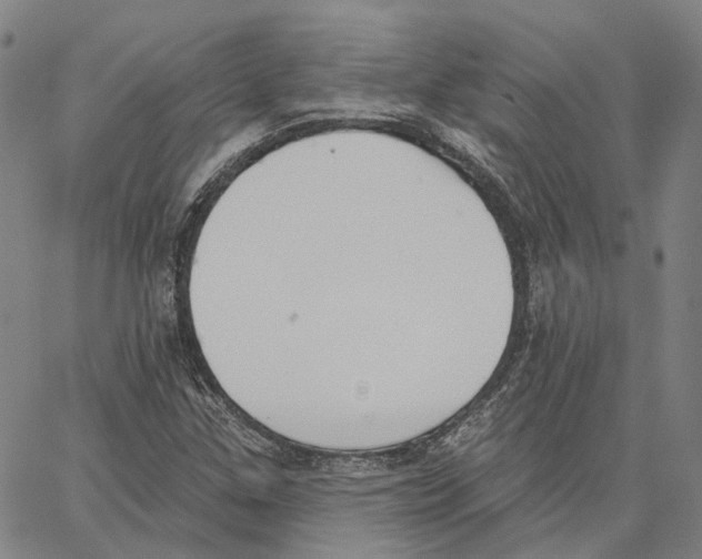 X0000062841307200602101526