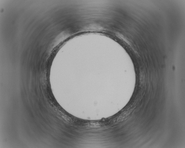 X0000062841315200602101527