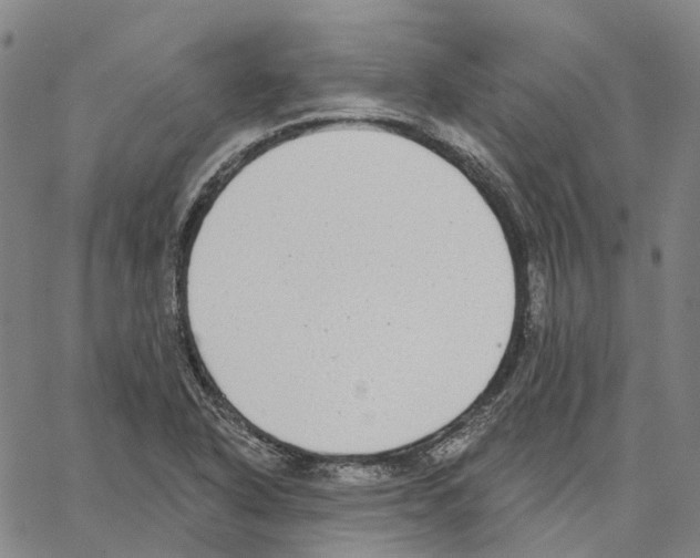 X0000062841318200602101527