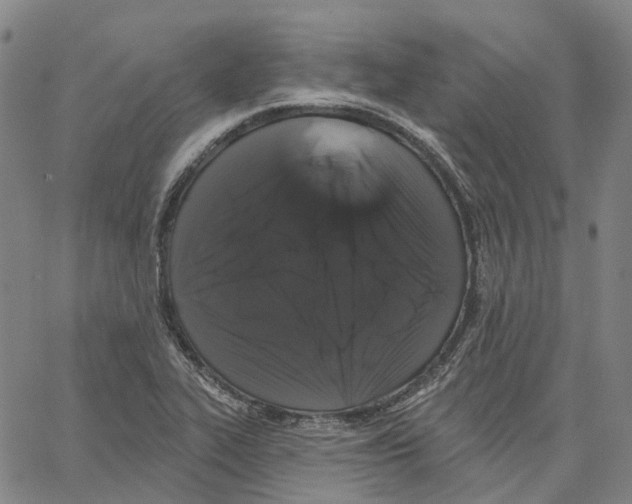 X0000062841319200602101527