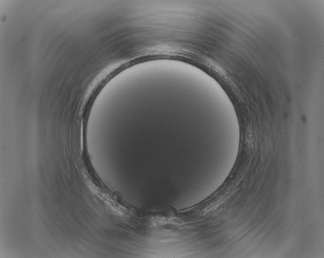 X0000062841323200602101527
